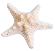 Flor decorativa